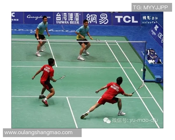 深入分析南京羽毛球队区域防守战术的特点与应用策略