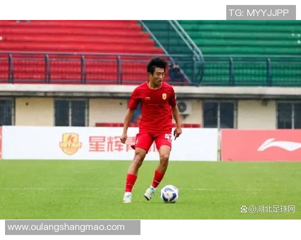 湖北足球明星的辉煌历程与成就解析 湖北足球明星的辉煌历程与成就解析